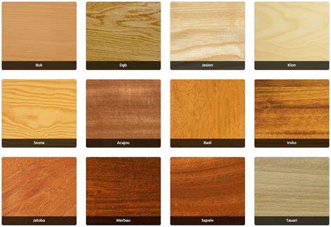 ​Виды древесины в деревообрабатывающей промышленности