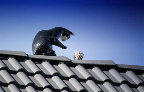 Renowacja dachu z blachy