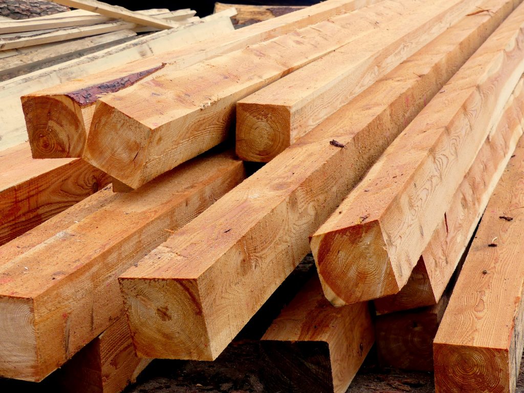 Zwalczanie szkodników w drewnie
