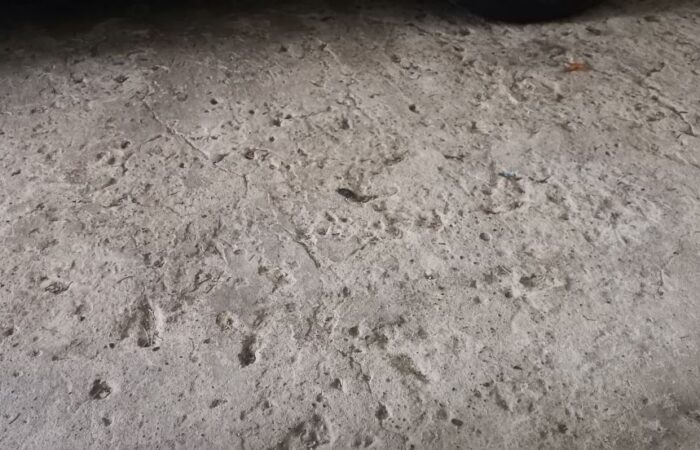Jak naprawić ubytki w betonie?