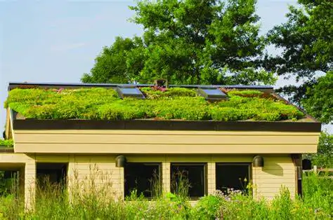 Tworzenie zielonego dachu